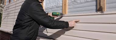 Best Siding Painting and Refinishing  in Hickory Hls, IL